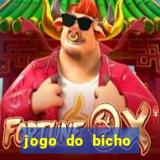 jogo do bicho crash bingo